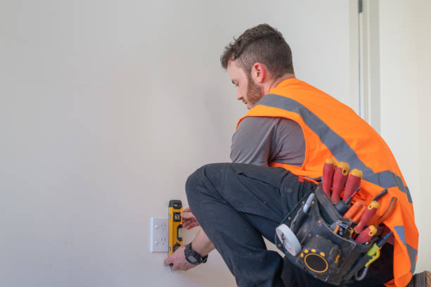 Best Residential Electrician Services  in Skidaway Island, GA